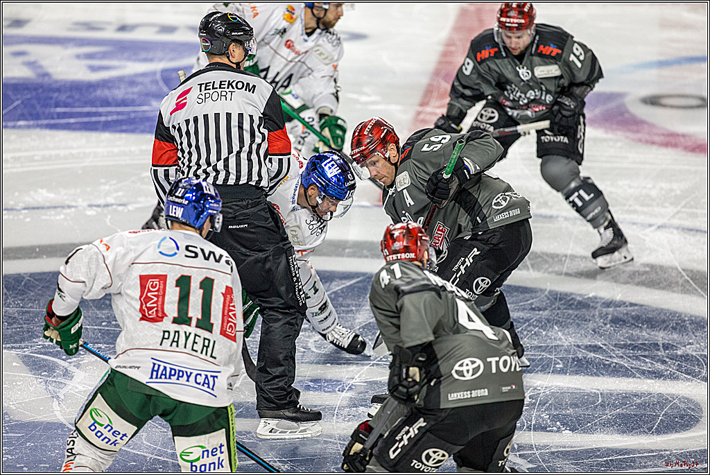 DEL Koelner Haie - Augsburg Panther, 14.09.2018